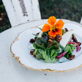 Killer Pecans Salad Rosemary Pecans Recipe Light Refreshing Salad