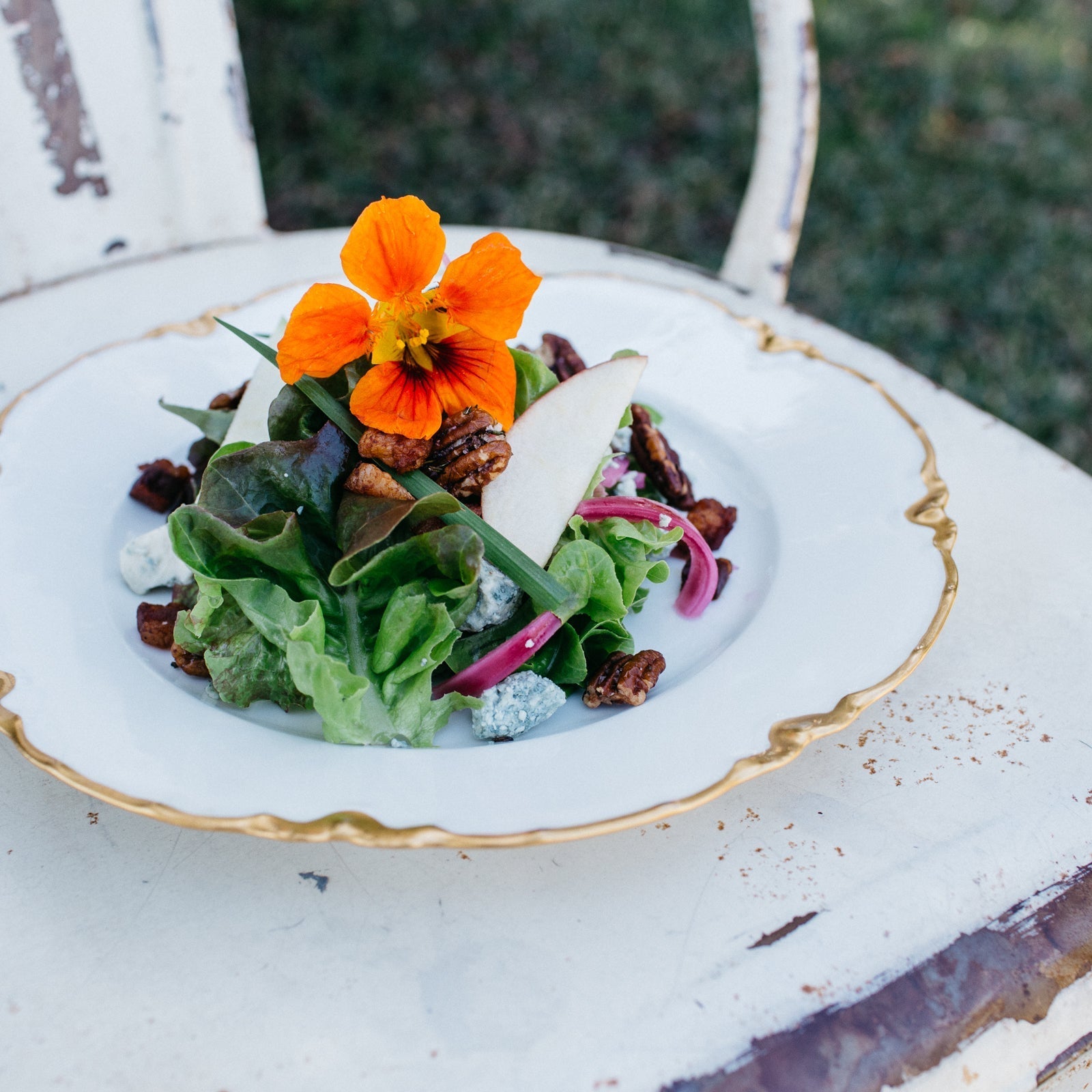 Olive Oil Roasted Rosemary Pecans 16 oz tin - Killer Pecans